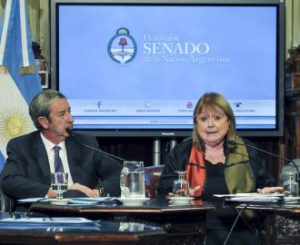 Malcorra ante el senado