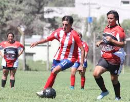 descarga (3)
