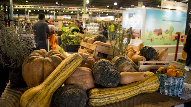 feria-masticar-2017-2454257w640 productos