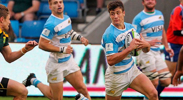 delguy puma