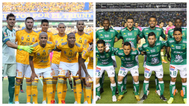 tigres leon