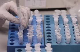 La carrera científica por una vacuna contra el coronavirus