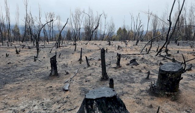 incendios en chubut