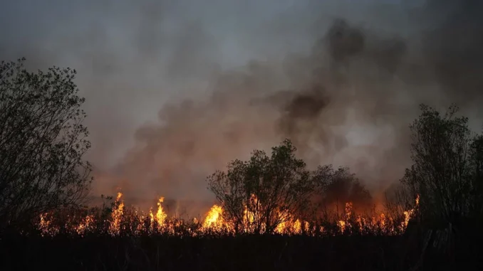 Incendios en las islas del Delta del Paraná