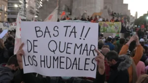 Basta de quemar los humedales