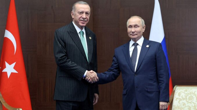 Erdogan y Putin