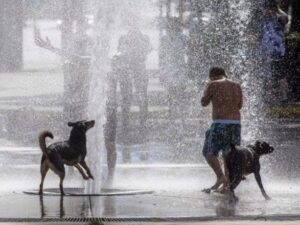 Las altas temperaturas generan preocupación. (Foto: Minuto Uno)