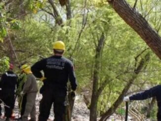 La Policía de la Ciudad cerró el predio para dar con el atacante.