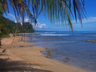 La chiquita es la playa más solitaria y agreste de la provincia de Buenos Aires.